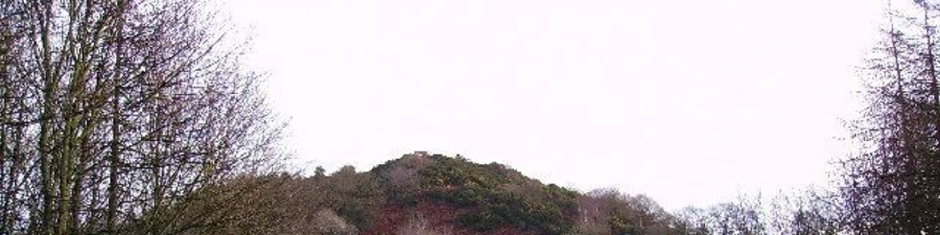 Raven's Barrow. Small hill at the south end of Newton Fell