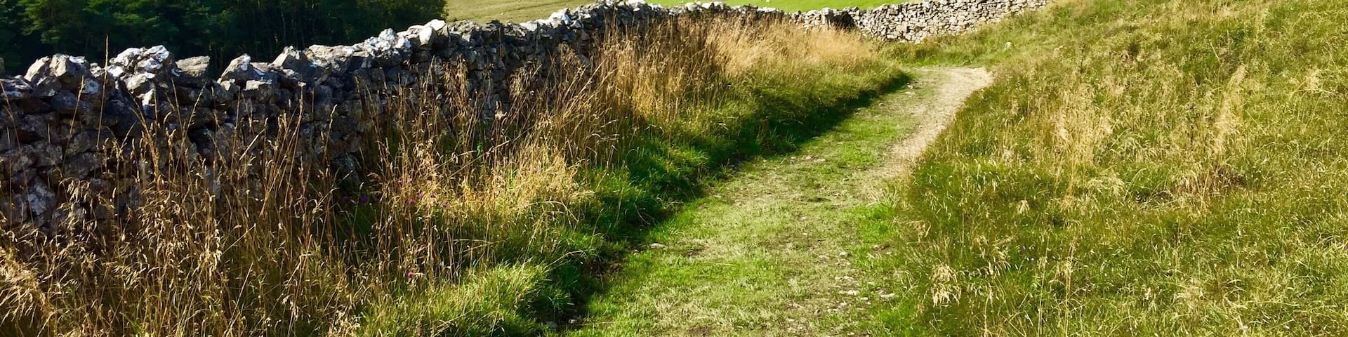Numerous bridleways and footpaths to follow