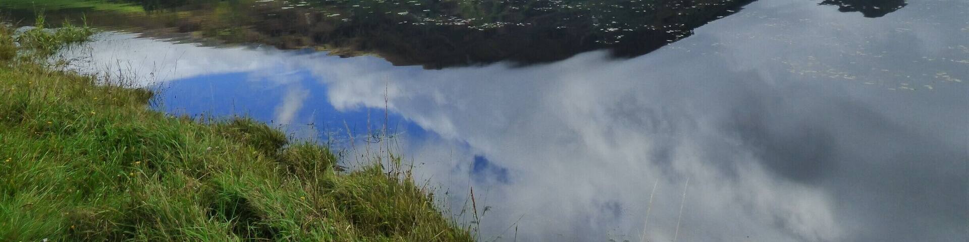 Did a lovely circular walk taking in the lake and lots of wildflowers.