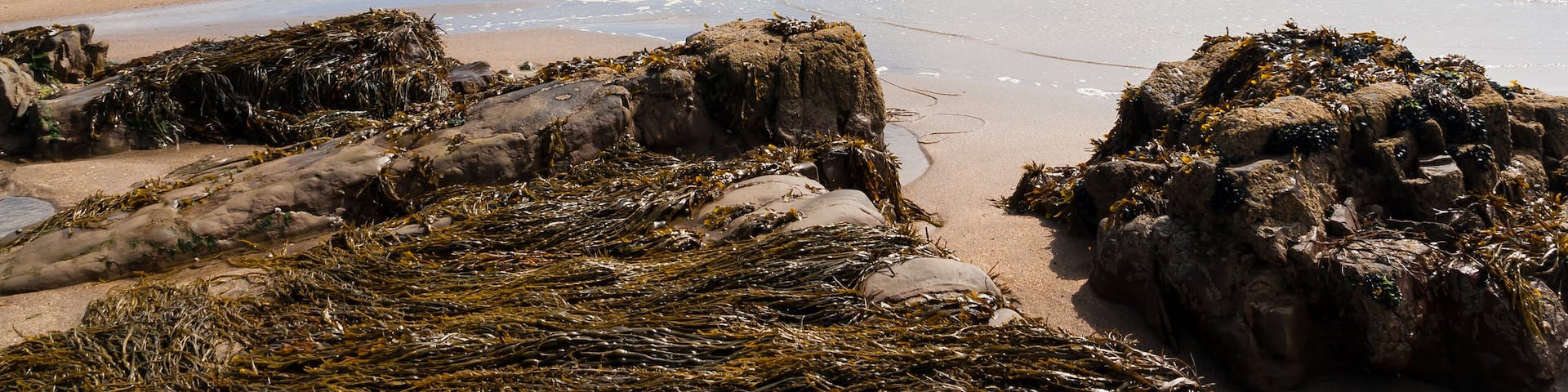 Widemouth Bay near bude on the North Cornwall Coast, England UK; Shutterstock ID 120963688