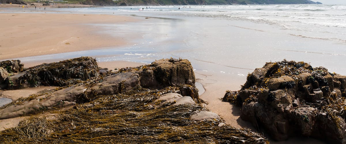 A sandy beach with rocky outcrops covered in seaweed, a clear blue sky, and distant hills.