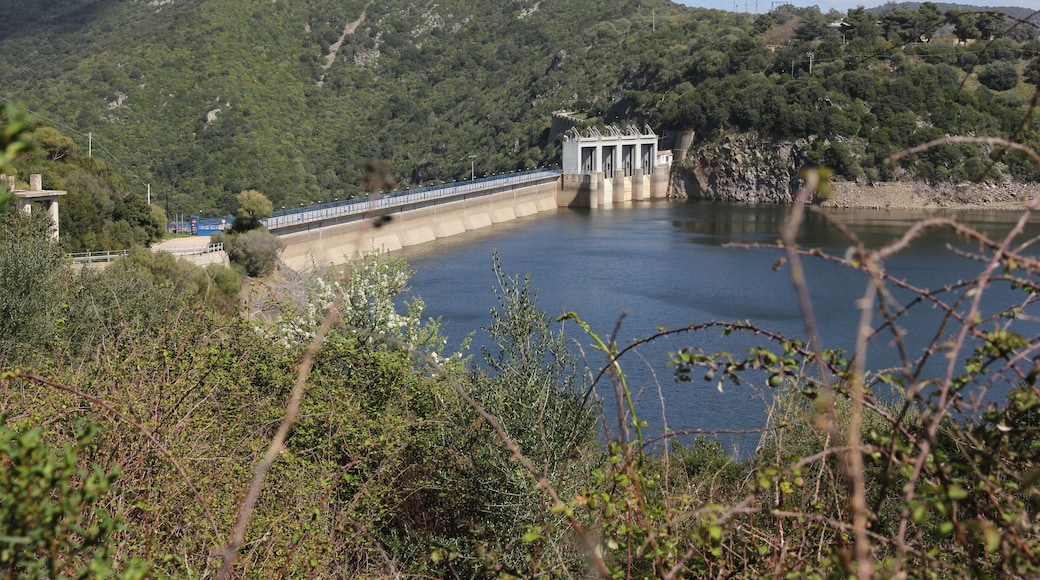 Luras - Diga del Liscia