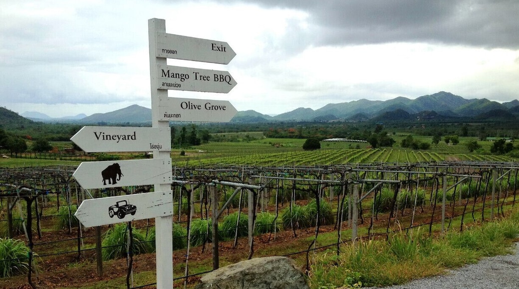 #TroveOn This lovely vineyard is half an hour away from the quiet beach town of Hua Hin, which is about a 2 hour-drive from Bangkok. You can tour the vineyard and take in the great scenery. Food is delicious so you should also enjoy a meal at the restaurant, The Sala, which houses a wine cellar and retail center too.
http://www.spillingthebeans-ng.com/hua-hin-hills-vineyard
#huahin #thailand #weekendgetaway