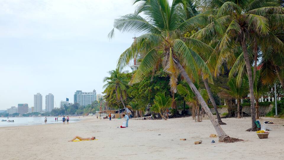 Une plage bordée de palmiers, une étendue de sable et des bâtiments visibles au loin.
