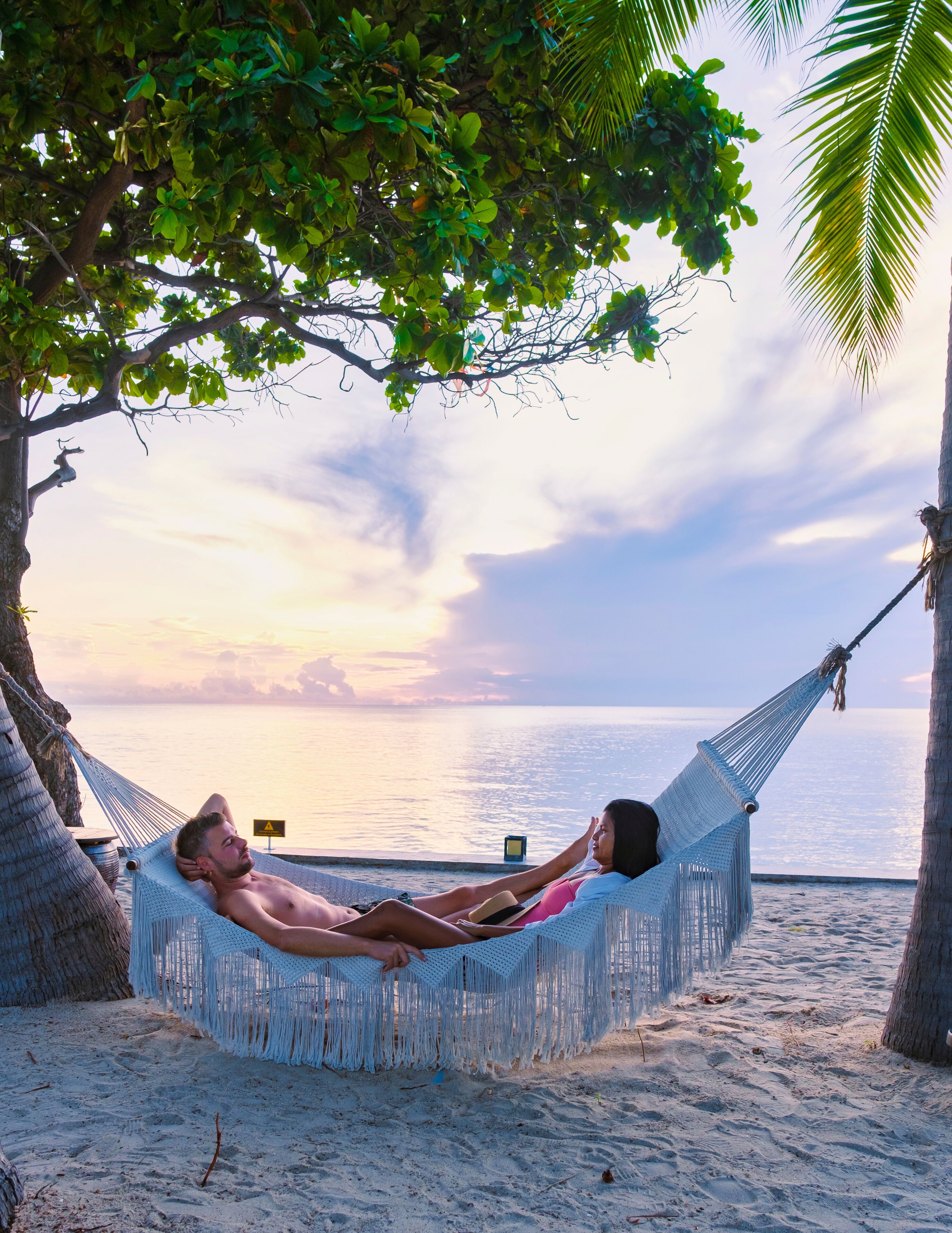 A hammock between two palm trees on a beach with the ocean in the background.