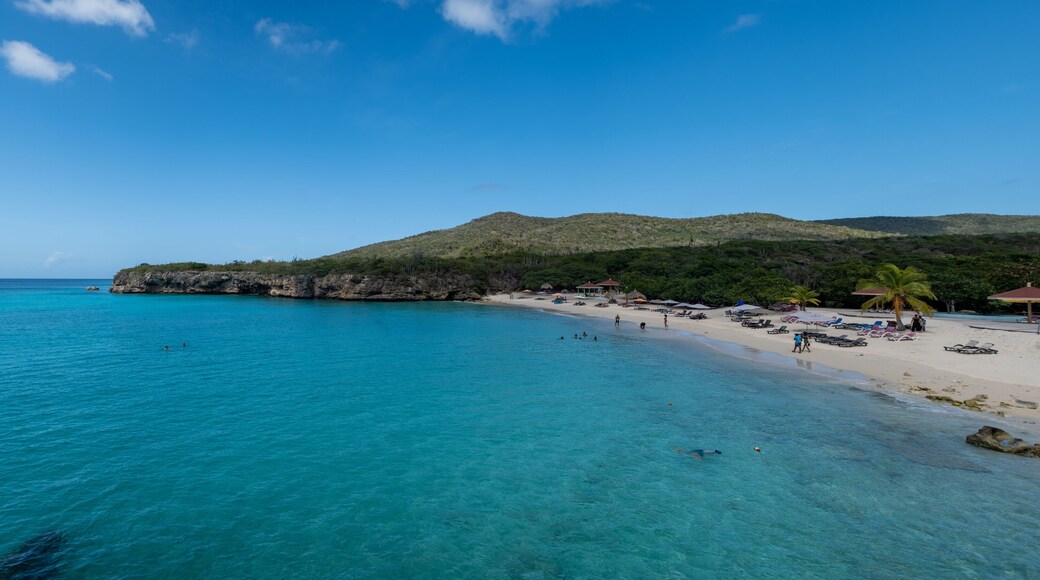 View of the white beach Grote Knip, Curacao, Netherlands with a blue ocean Curacao Caribbean Island tropical beach with palm trees