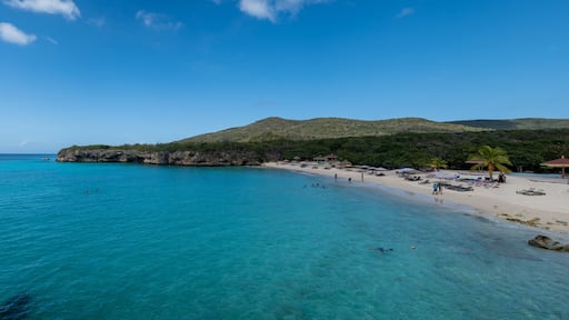 View of the white beach Grote Knip, Curacao, Netherlands with a blue ocean Curacao Caribbean Island tropical beach with palm trees