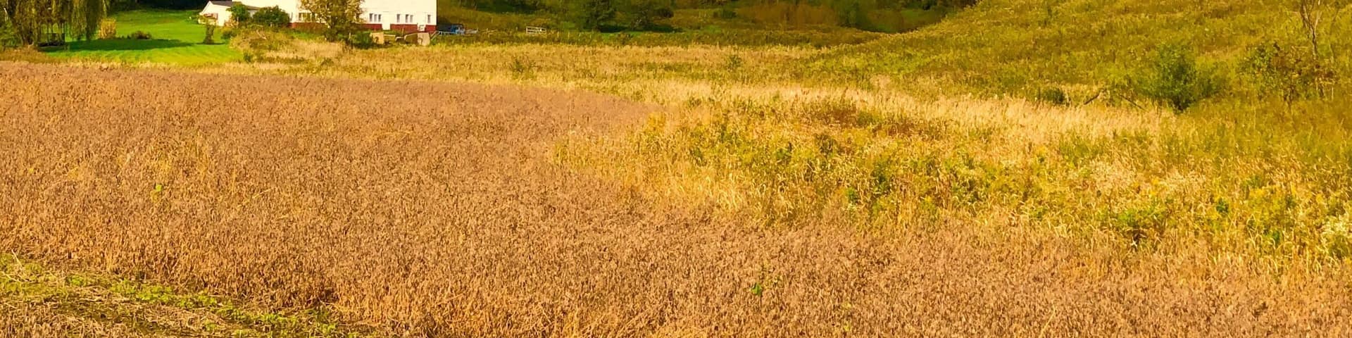 A nice little house out in the country backroads of Wisconsin during fall