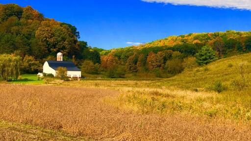 A nice little house out in the country backroads of Wisconsin during fall
