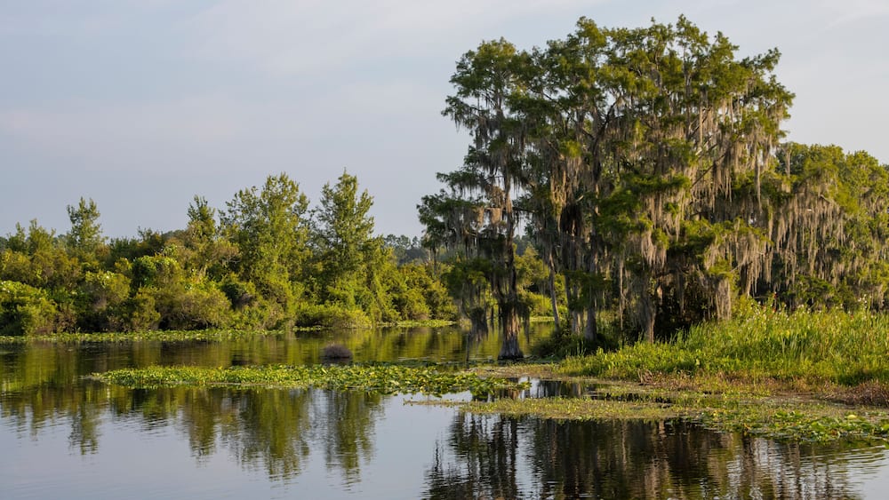 Lake Rousseau at Dunnellon, Florida