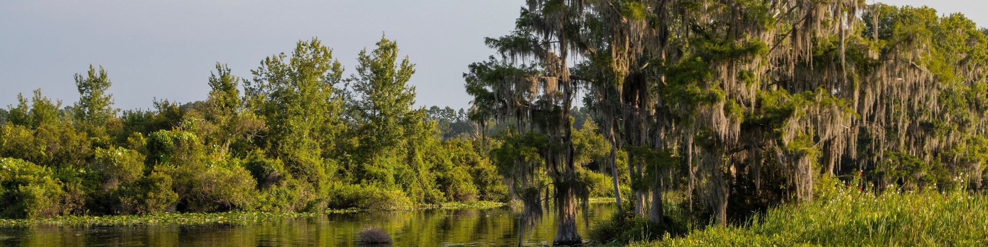 Lake Rousseau at Dunnellon, Florida