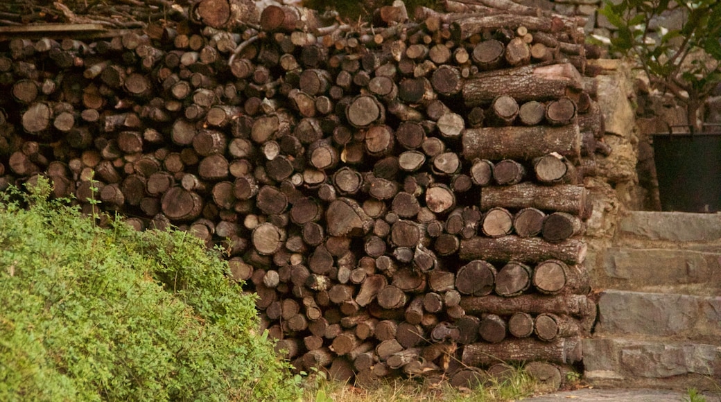 Languedoc-Roussillon