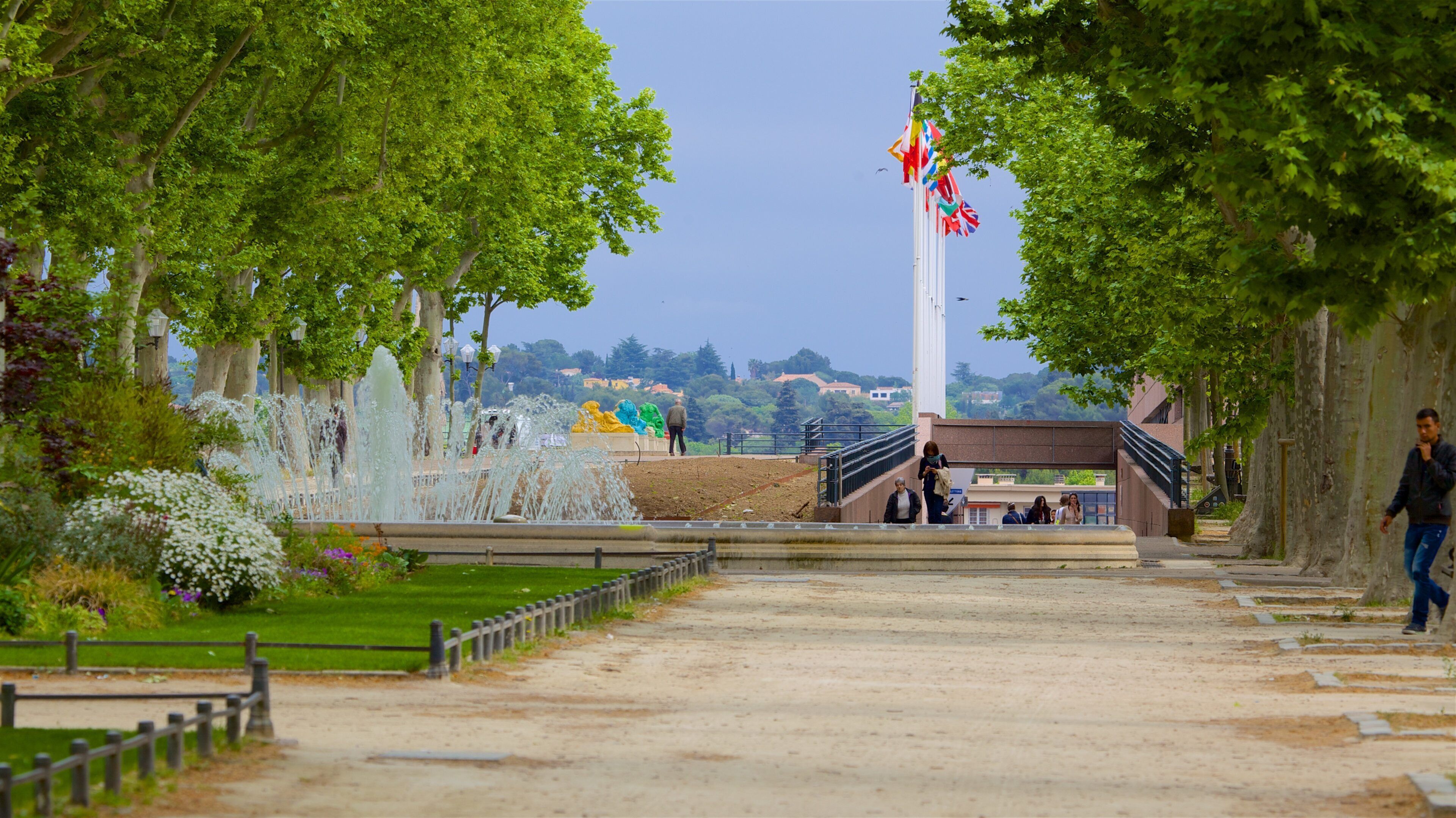 Languedoc-Roussillon showing a park and a fountain