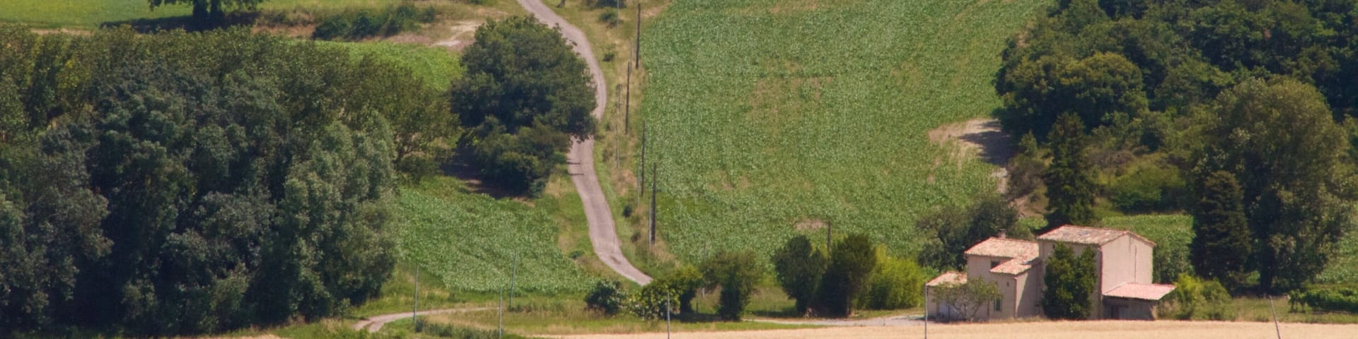 Languedoc-Roussillon featuring farmland and tranquil scenes