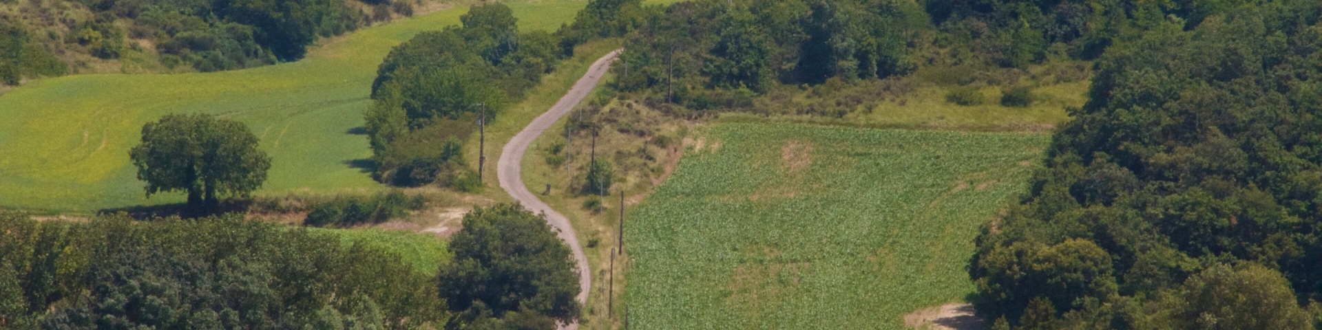 Languedoc-Roussillon featuring farmland and tranquil scenes