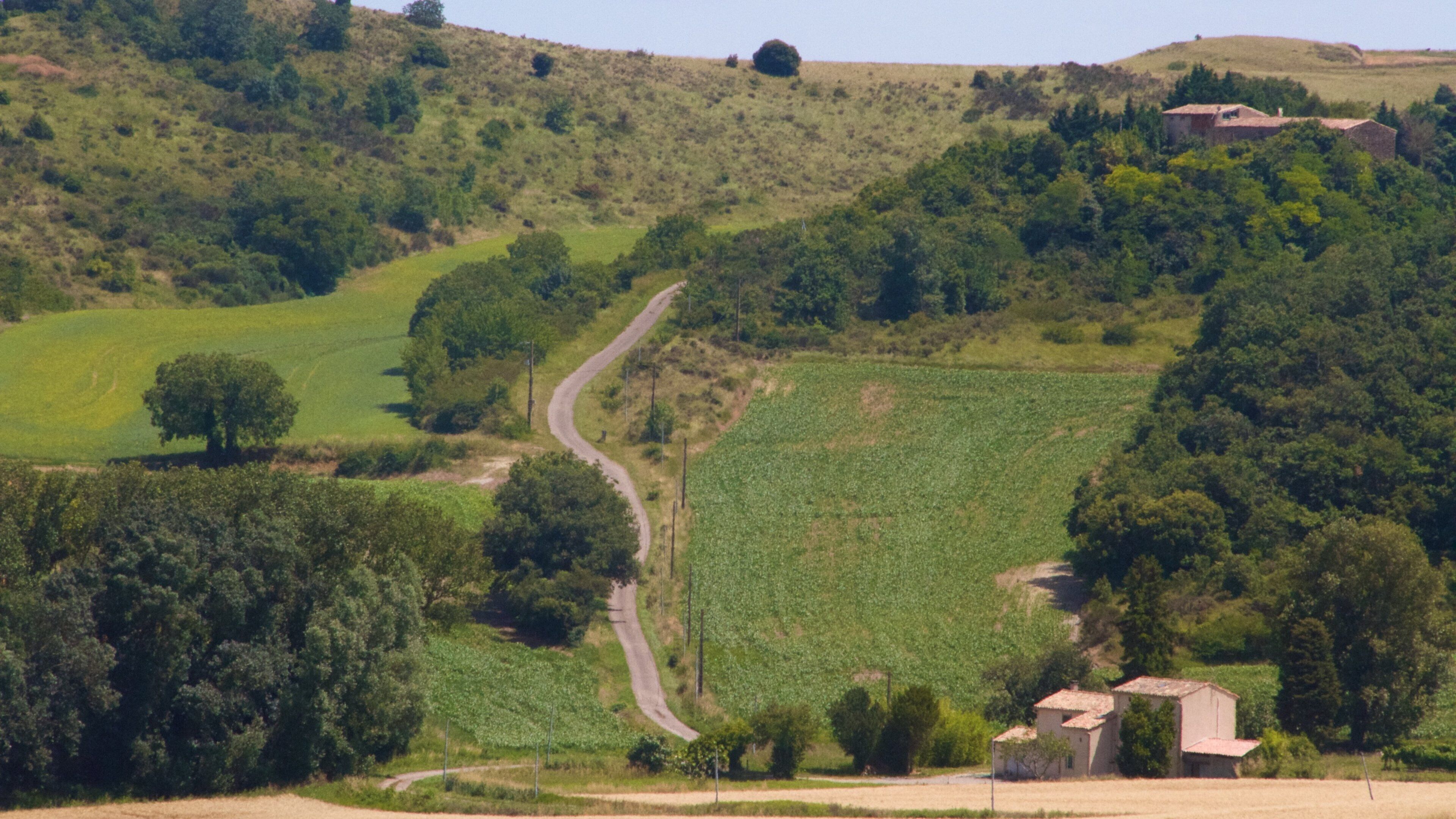 A winding road through a hilly landscape with vineyards and scattered houses.