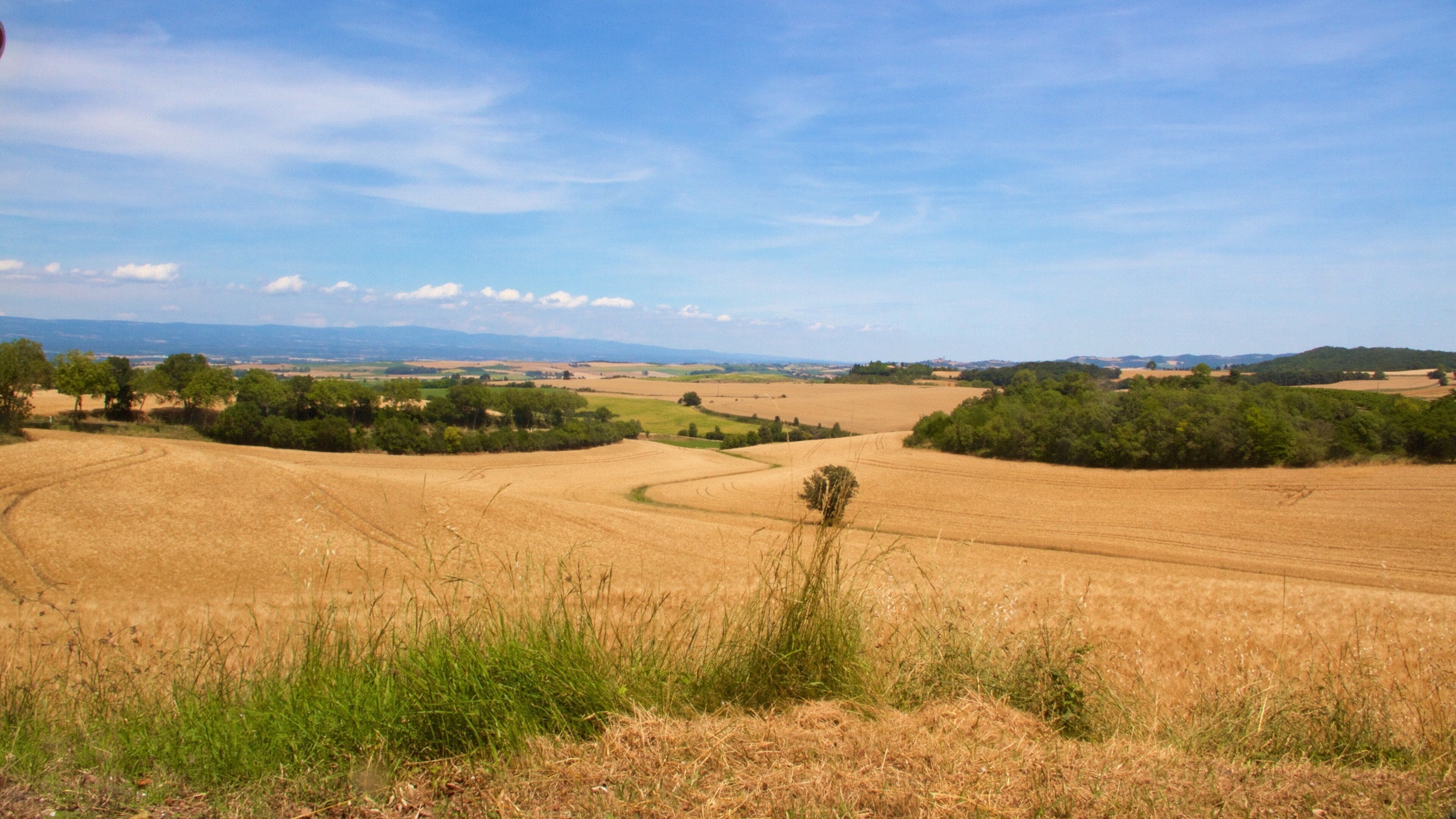 Languedoc-Roussillon which includes landscape views, tranquil scenes and farmland