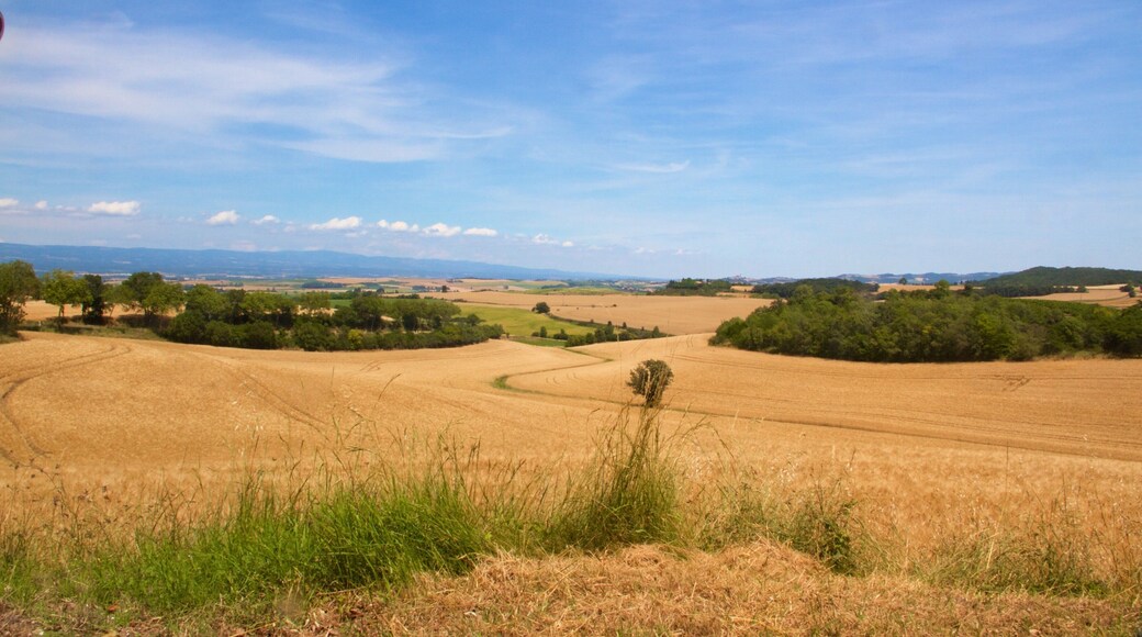Languedoc-Roussillon which includes landscape views, tranquil scenes and farmland
