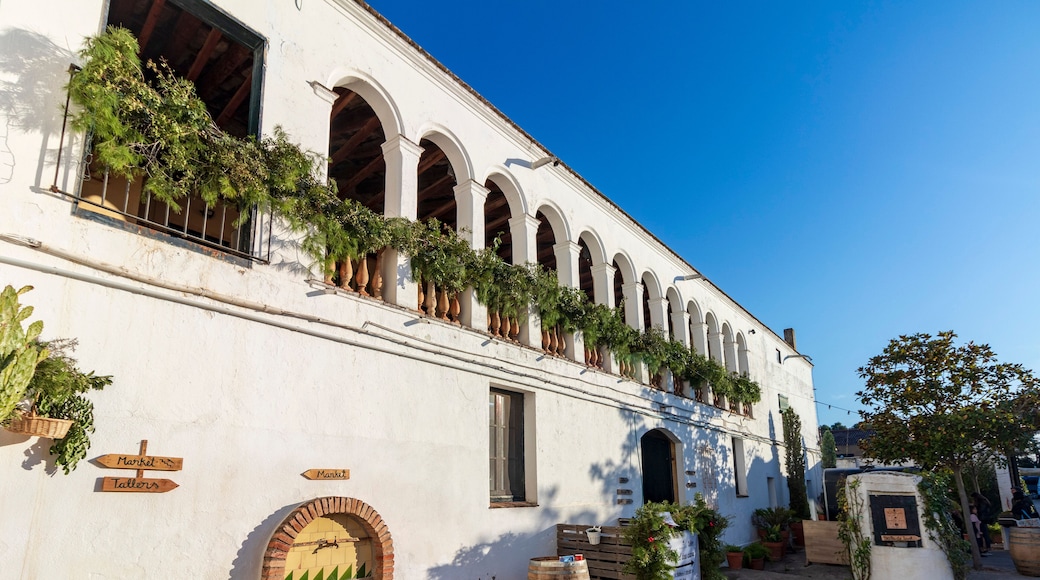 Sant Esteve Sesrovires