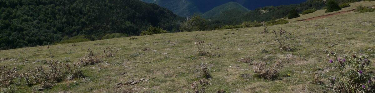 This is a a photo of a natural area in Catalonia, Spain, with id: