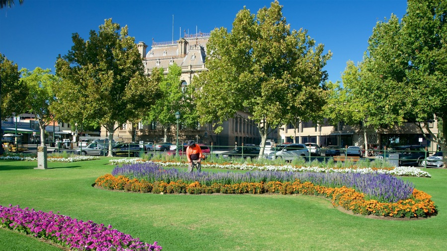 Murray Valley featuring flowers and a park