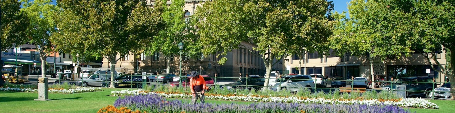 Murray Valley featuring flowers and a park