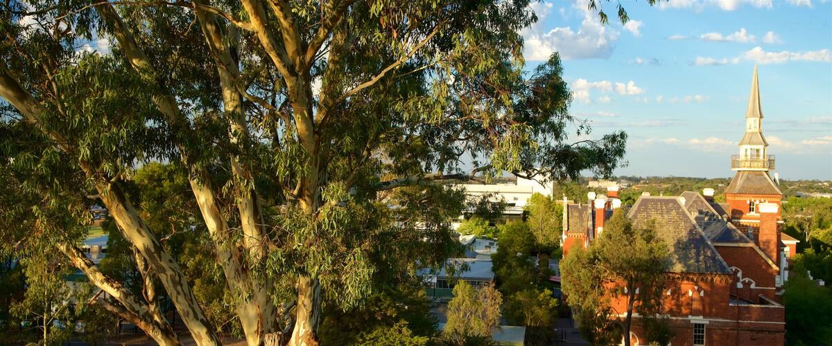 Murray Valley showing a small town or village