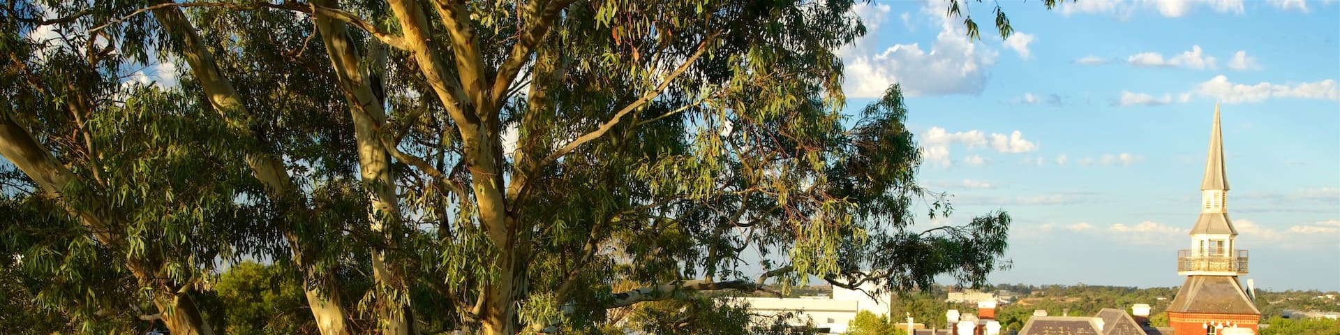 Murray Valley showing a small town or village