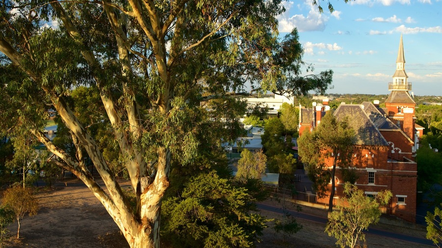 Murray Valley showing a small town or village