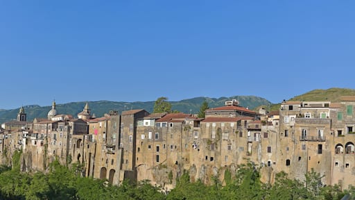 ๋ฒ ๋ค๋ฒคํ