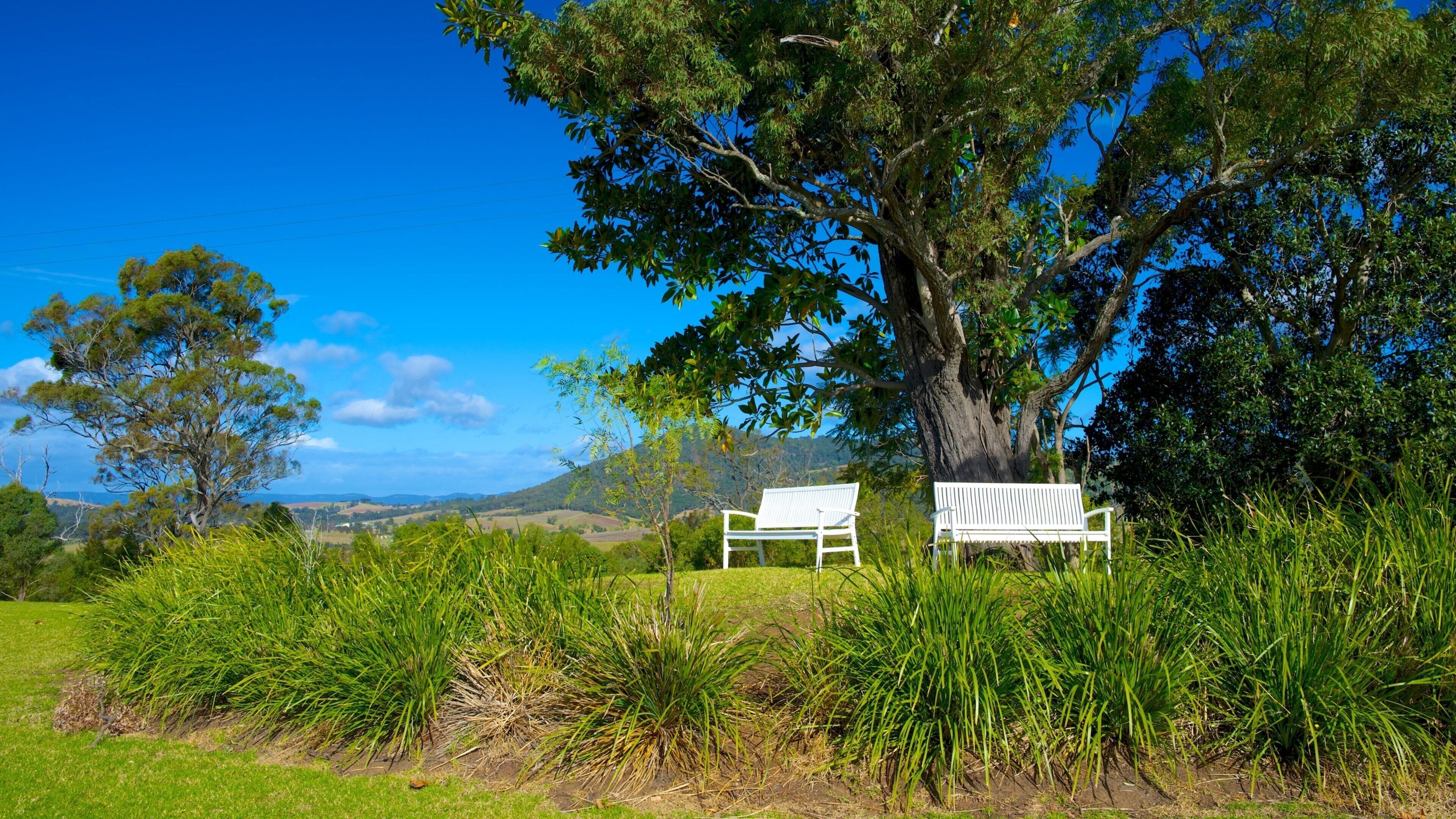 New England which includes a park