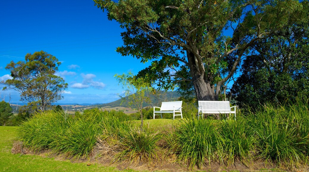 New England which includes a park