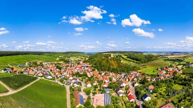 Germany, Baden-Wurttemberg, Brackenheim, Aerial view of countryside town in summer