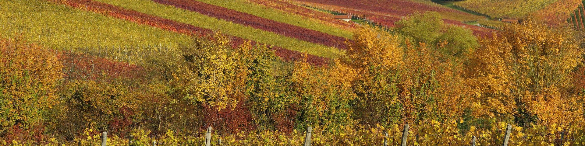 Haberschlacht 11/2014