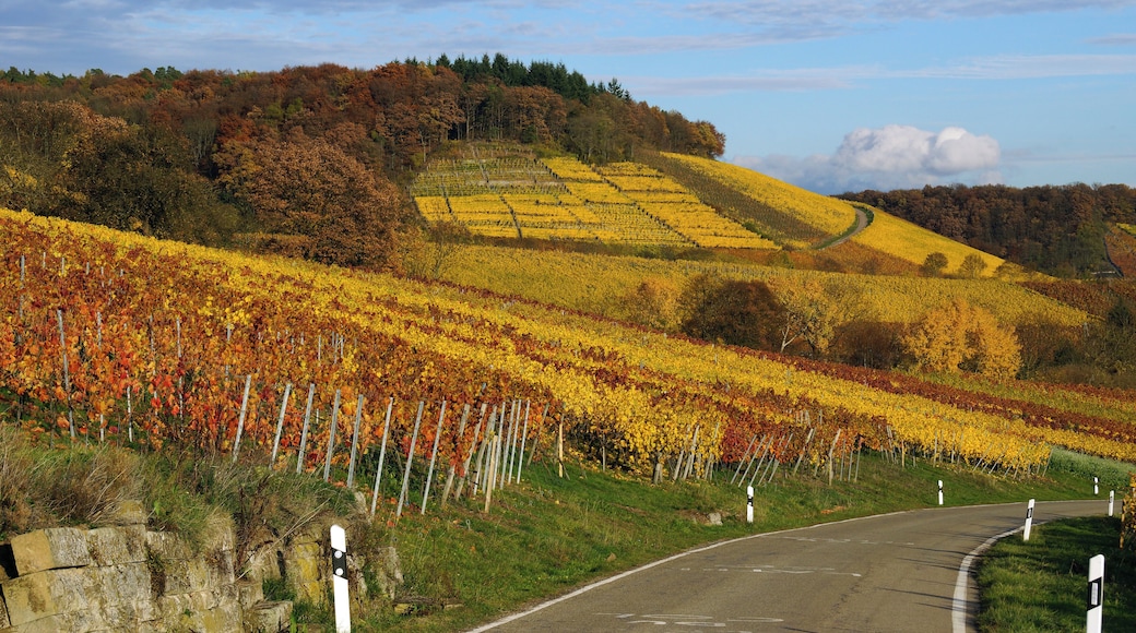 Haberschlacht 10/2015