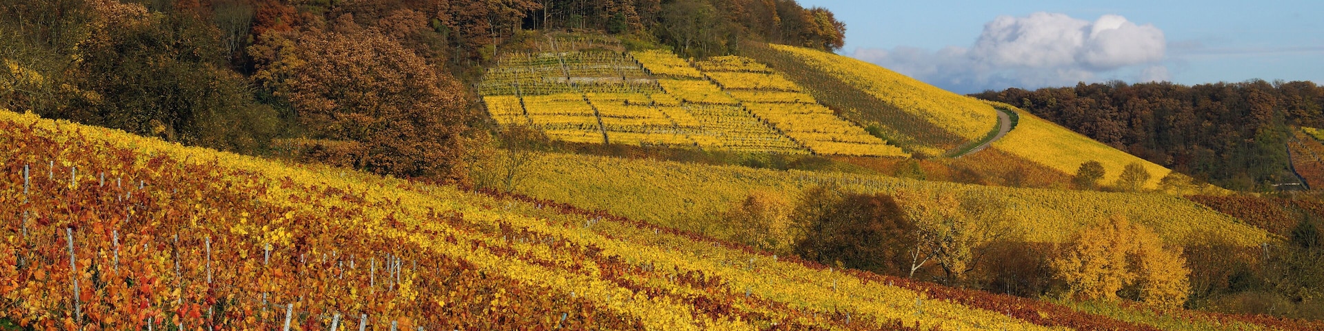 Haberschlacht 10/2015