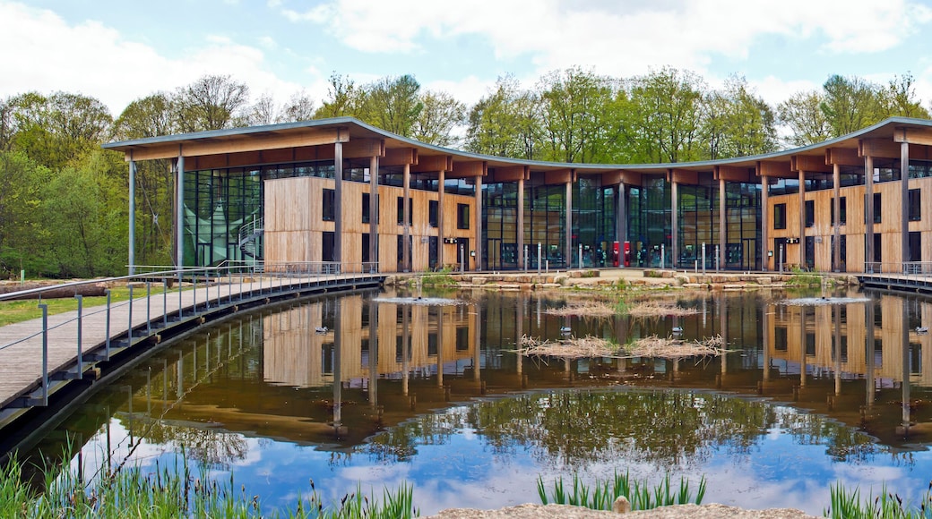 Orscholz - Saarland - Germany