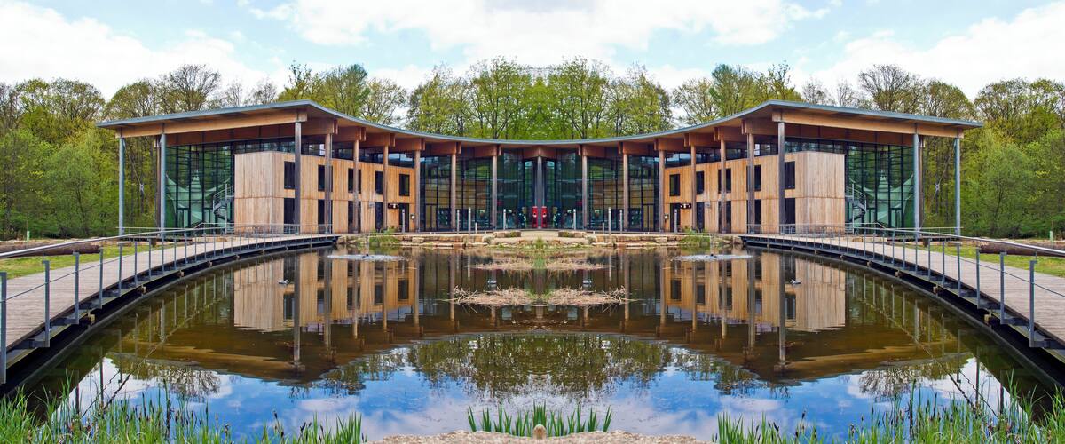 A modern building with a glass facade and wooden structure, surrounded by a reflective pond and greenery.