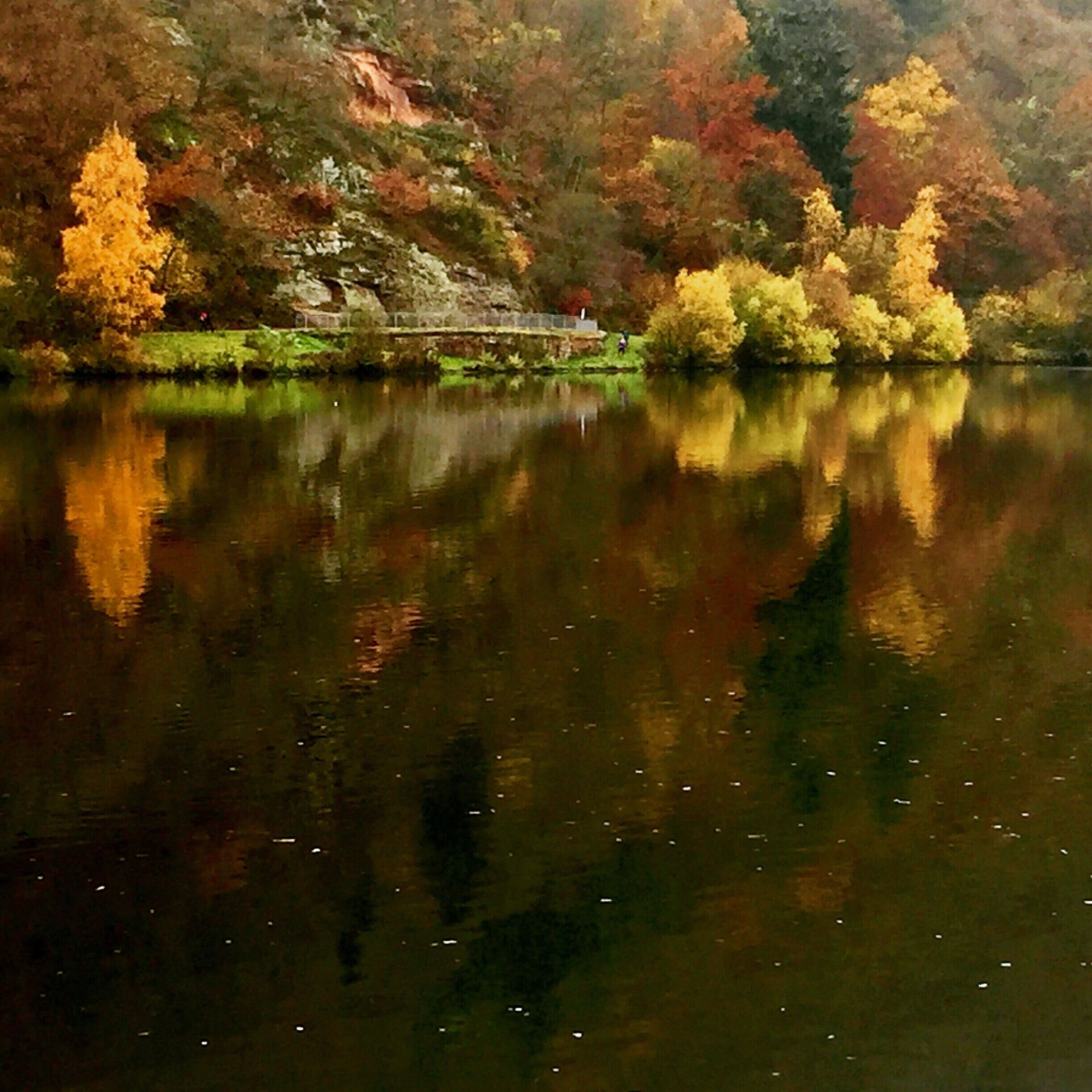 Fall colors along the Saar River at Saarscleife 