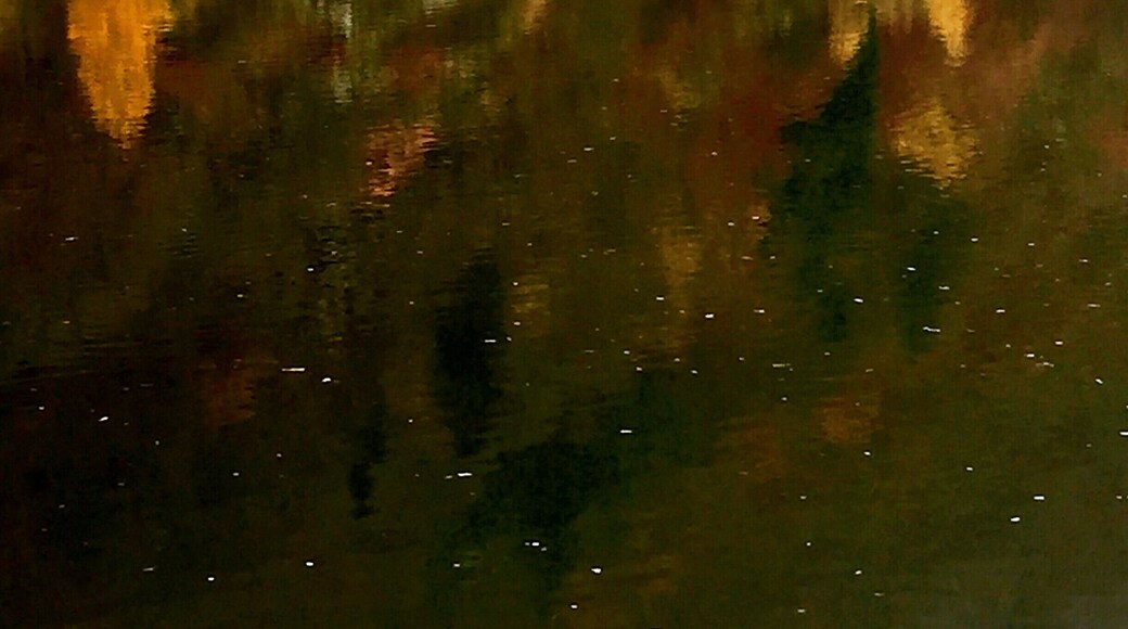 Fall colors along the Saar River at Saarscleife