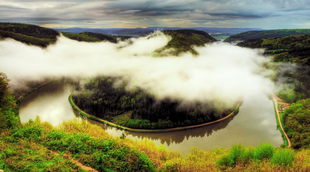 Please take a large view! The Saar is a river in northeastern France and western Germany, and a right tributary of the Moselle River. It rises in the Vosges mountains on the border of Alsace and Lorraine, with two headstreams (Sarre Rouge and Sarre Blanche, united in Lorquin), that both start near Mont Donon, the highest peak of the northern Vosges. After 246 km (126 km in France and 120 km in Germany) the Saar flows into the Moselle River at Konz (Rhineland-Palatinate), having a catchment area of 7,431 km². In former times, the Saar was very important for the Saarland industries of coal, iron and steel. Raw materials and finished products were shipped on it by water via the Saar Coal Canal, the Marne-Rhine Canal and the Rhine, for instance, to the Ruhrgebiet or the port of Rotterdam. Although the German part of the Saar has been upgraded to a waterway by deepening, construction of sluices and straightening, there is no significant shipping traffic. From Wikipedia, the free encyclopedia