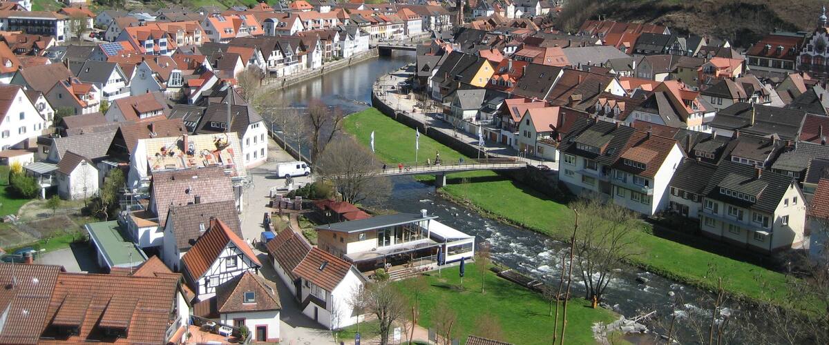 A town with a river, houses, and a bridge.