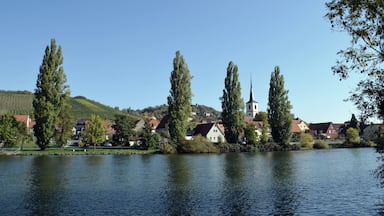 Kleinochsenfurt von der Ochsenfurter Mainseite aus