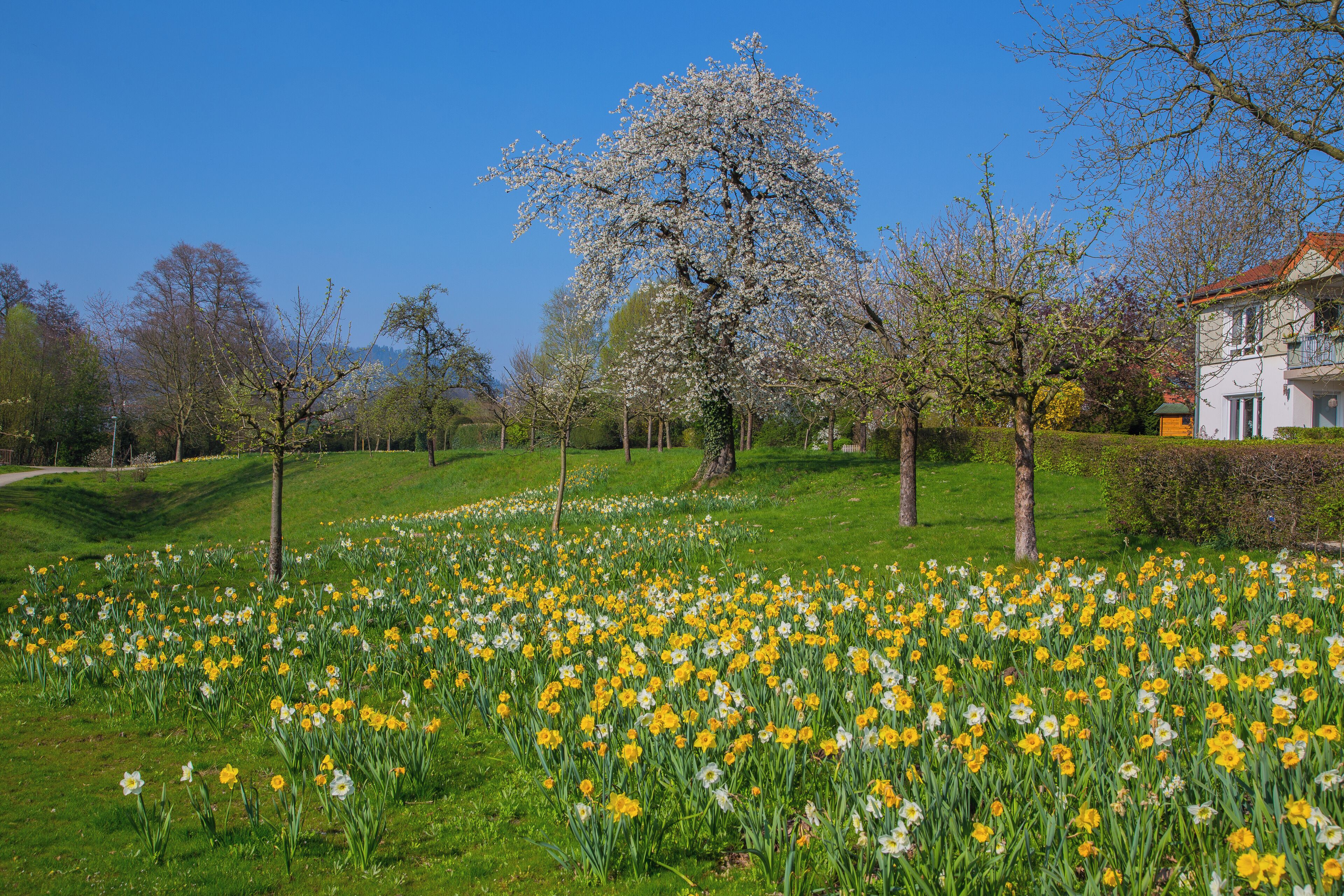 Park at Averbeck's Farm (Averbecks Hof) in Glane, Bad Iburg, Landkreis Osnabrück, Lower Saxony, Germany.