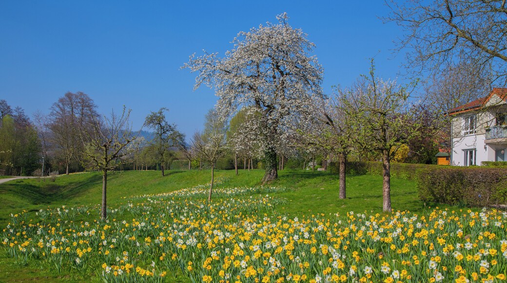 Park at Averbeck's Farm (Averbecks Hof) in Glane, Bad Iburg, Landkreis Osnabrück, Lower Saxony, Germany.