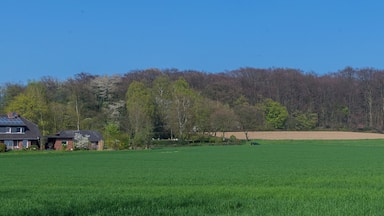 This is a picture of the protected area listed at WDPA under the ID