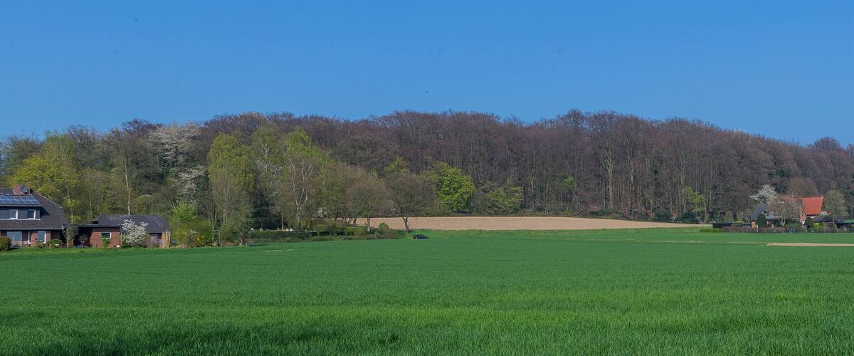 A rural landscape with a green field, a forested hill, and a few houses.