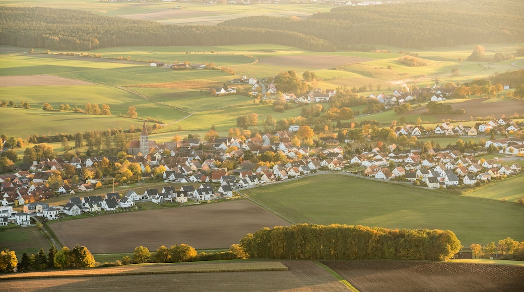 هيرزوجيناورباخ