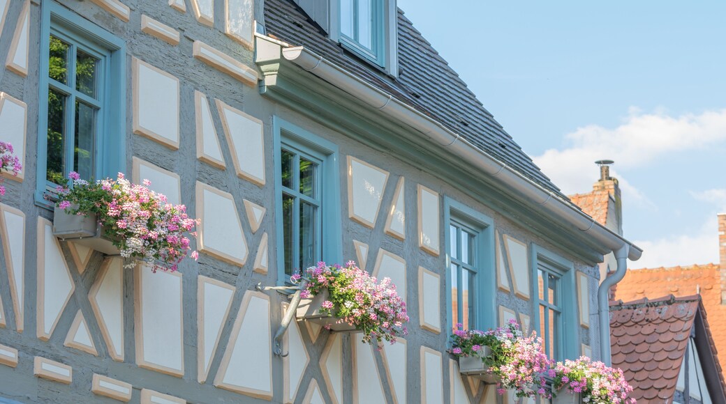 هيرزوجيناورباخ