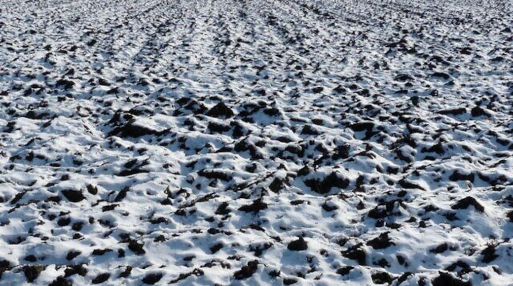 Winterliches Feld bei Landsham